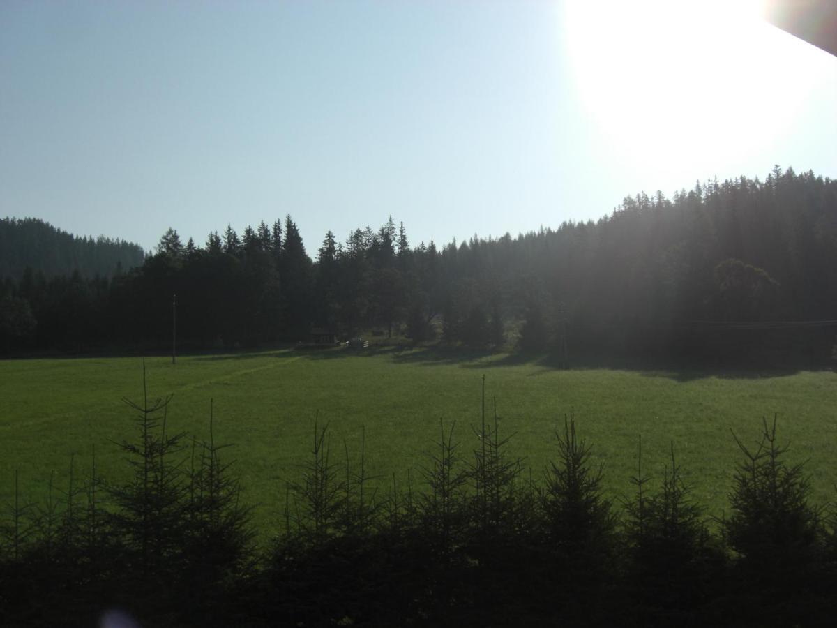 Gaestehaus Elisabeth Radstadt Bagian luar foto